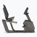 Matrix Fitness recumbent bike R50XIR-02 graphite grey