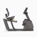 Matrix Fitness Recumbent Bike R30XR stationary bike 2