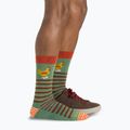 Men's Darn Tough Animal Haus willow socks 5