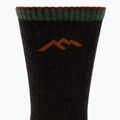 Men's socks Darn Tough Hiker Micro Crew walnut 3
