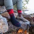 Men's socks Darn Tough VanGrizzle Boot Sock Cushion moose black 6