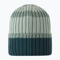 Children's winter hat Reima Vilpas stone green 2