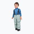Children's ski trousers Reima Proxima stone green