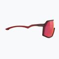 Sunglasses Rudy Project Thunder frozen bordeaux matte/multilaser red 4
