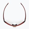 Sunglasses Rudy Project Thunder frozen bordeaux matte/multilaser red 6