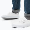 Vans UA Authentic true white shoes 4