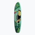 Pathfinder Toucan Leaf 10'2" SUP board 2
