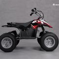 Razor Dirt children's quad black 25186501 10