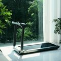 Electric treadmill Kingsmith X218 WalkingPad black/grey 26