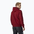 Men's Helly Hansen HH Logo Hoodie burgundy 33977_215 2