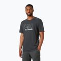 Men's trekking t-shirt Helly Hansen Nord Graphic grey 62978_981