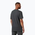 Men's trekking t-shirt Helly Hansen Nord Graphic grey 62978_981 2