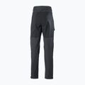 Men's trekking trousers Helly Hansen Veir Tur grey 63001_980 7