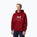 Men's Helly Hansen Arctic Ocean Hoodie burgundy 30361_215