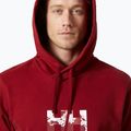 Men's Helly Hansen Arctic Ocean Hoodie burgundy 30361_215 3