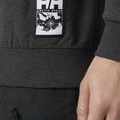 Men's Helly Hansen Arctic Ocean Sweater grey 30364_980 3
