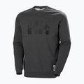 Men's Helly Hansen Arctic Ocean Sweater grey 30364_980 4