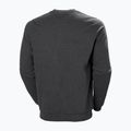 Men's Helly Hansen Arctic Ocean Sweater grey 30364_980 5