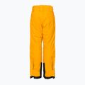 Helly Hansen children's ski trousers Elements yellow 41765_328 2