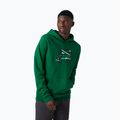 Helly Hansen men's trekking sweatshirt F2F Organic Cotton Hoodie green 62934_486 3