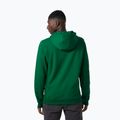 Helly Hansen men's trekking sweatshirt F2F Organic Cotton Hoodie green 62934_486 4