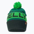 Helly Hansen Ridgeline cap green 67150_495 2