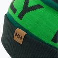 Helly Hansen Ridgeline cap green 67150_495 3