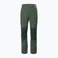 Helly Hansen men's trekking trousers Vandre Tur green 62698_476 6