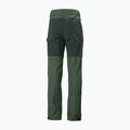 Helly Hansen men's trekking trousers Vandre Tur green 62698_476 7