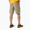 Helly Hansen men's Maridalen pebble shorts 2