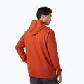 Men's trekking sweatshirt Helly Hansen Nord Graphic Pull Over Hoodie red 62975_308 2