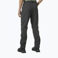 Helly Hansen men's softshell trousers Blaze Softshell grey 63151_980 2