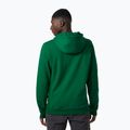 Men's trekking sweatshirt Helly Hansen F2F Organic Cotton Hoodie malachite 2