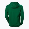Men's trekking sweatshirt Helly Hansen F2F Organic Cotton Hoodie malachite 5