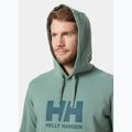 Men's Helly Hansen HH Logo Hoodie cactus 3