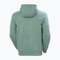 Men's Helly Hansen HH Logo Hoodie cactus 6