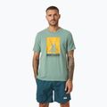 Helly Hansen HP Race Graphic cactus men's t-shirt