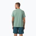 Helly Hansen HP Race Graphic cactus men's t-shirt 2