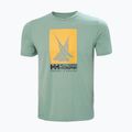 Helly Hansen HP Race Graphic cactus men's t-shirt 5