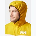 Men's Helly Hansen Salt Striped Windbreaker sailing jacket gold rush 3