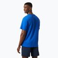 Men's Helly Hansen Lifa Tech Graphic t-shirt cobalt 2.0 2