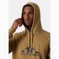 Men's Helly Hansen Nord Graphic Pull Over Hoodie lynx 3