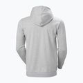 Men's Helly Hansen Nord Graphic Pull Over Hoodie grey melang 2