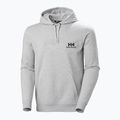 Men's Helly Hansen Nord Graphic Pull Over Hoodie grey melange 2