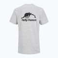 Men's Helly Hansen Nord Graphic grey melang T-shirt 2