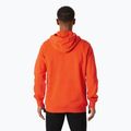 Men's Helly Hansen Hh Box sweatshirt cherry tomato 2