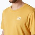 Men's Helly Hansen Nord Graphic sand T-shirt 3