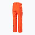 Men's ski pants Helly Hansen Sogn Cargo cherry tomato 2
