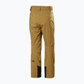 Helly Hansen Legendary Insulated lynx men's ski trousers 6