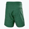 Men's Helly Hansen Newport Boardshorts 8" jungle green 6